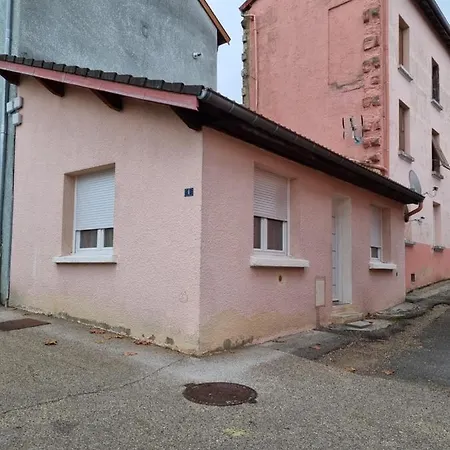 Agreable Maisonnette A Proximite Du Centre-Ville Oyonnax Buitenkant foto
